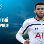 Tiểu sử cầu thủ étienne capoue 